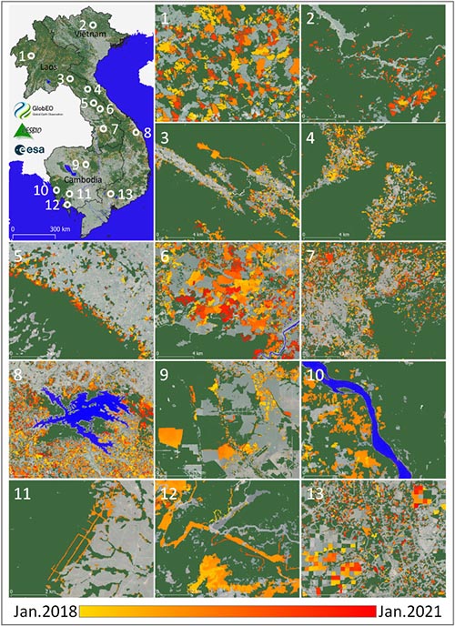 Carto suivi déforestation Asie du SE