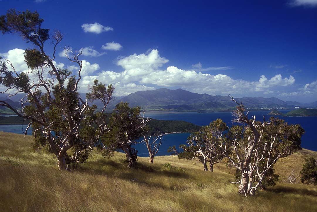 Baie de Gadgi