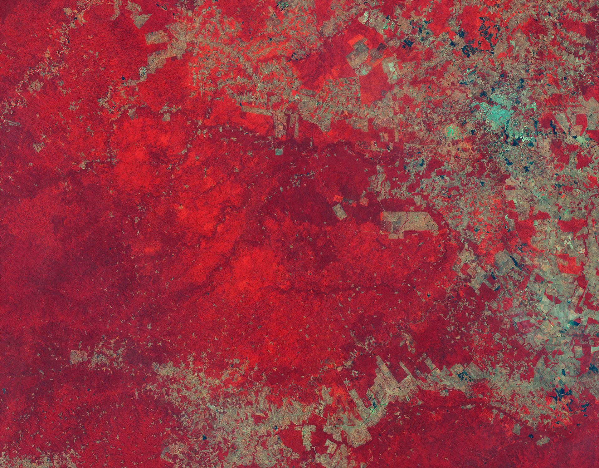 Déforestatoin au Brésil, Sentinel2 en fausses couleurs
