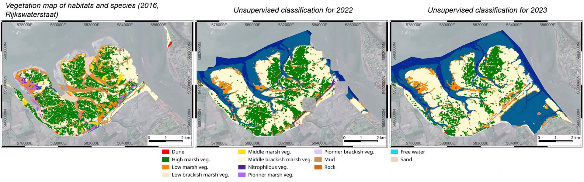 EO4Wetlands evolution vegetation