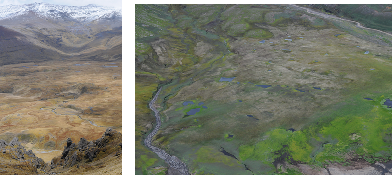 Figure 1: (gauche) Complexe de végétation de la Vallée des Branloires (Ile de la Possession , IIes Crozet) (droite) Complexe de végétation au pied du Doigt de Sainte Anne (Iles Kerguelen) - (c) R. Poncet (UMS PatriNat).