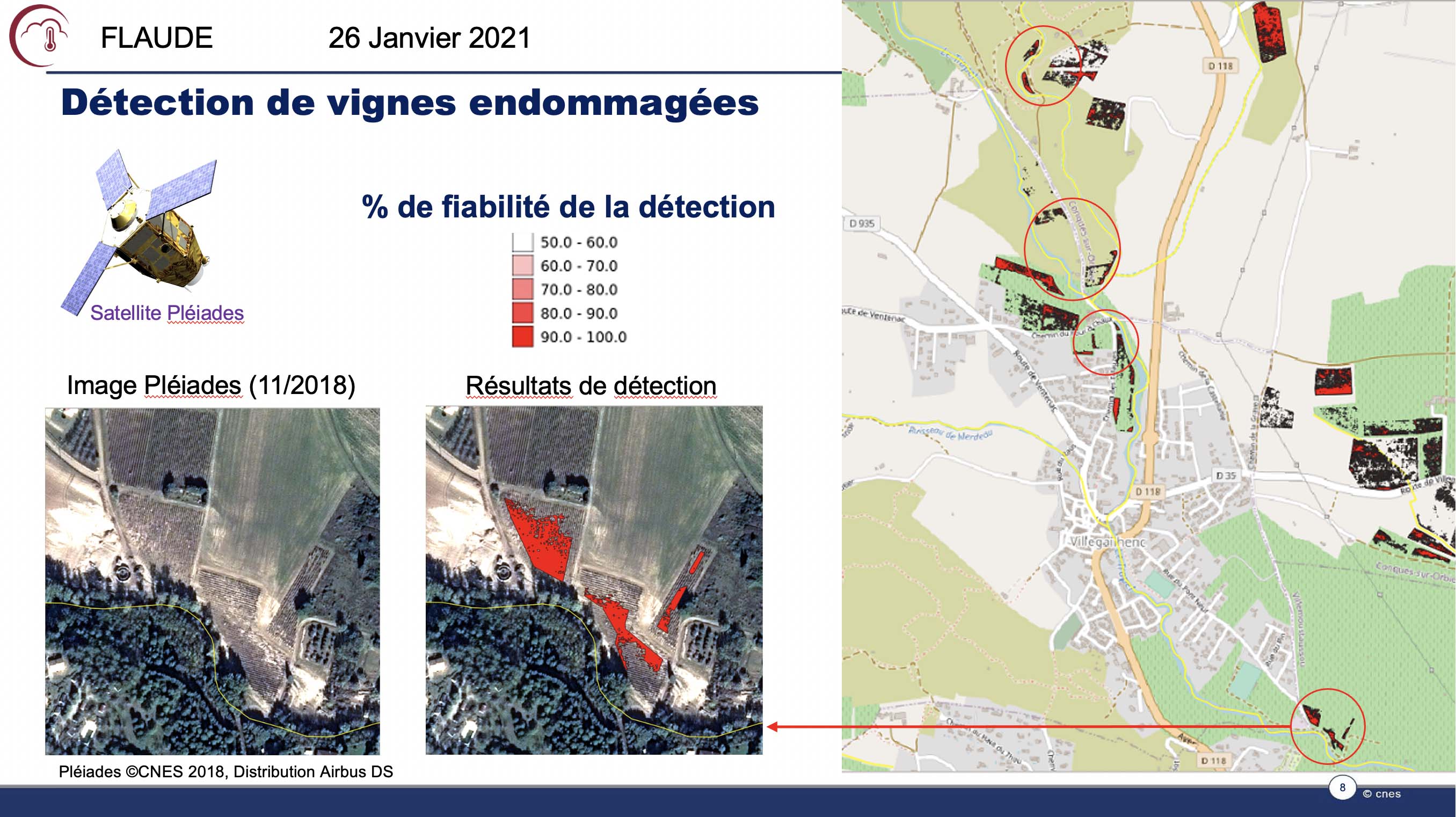 Détection vignes1