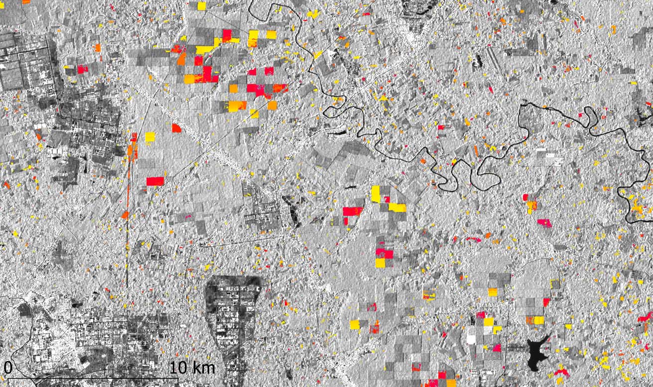 Suivi radar de coupes d'hévéas au Vietnam