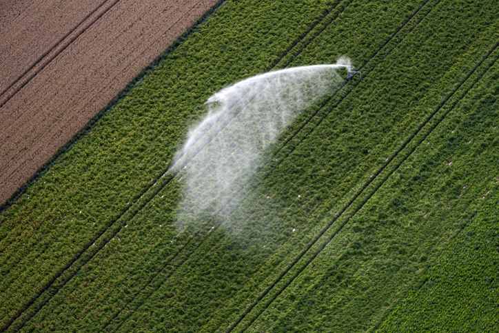 Irrigation d'un champ