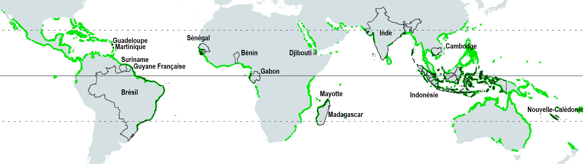 Mangroves 15 sites