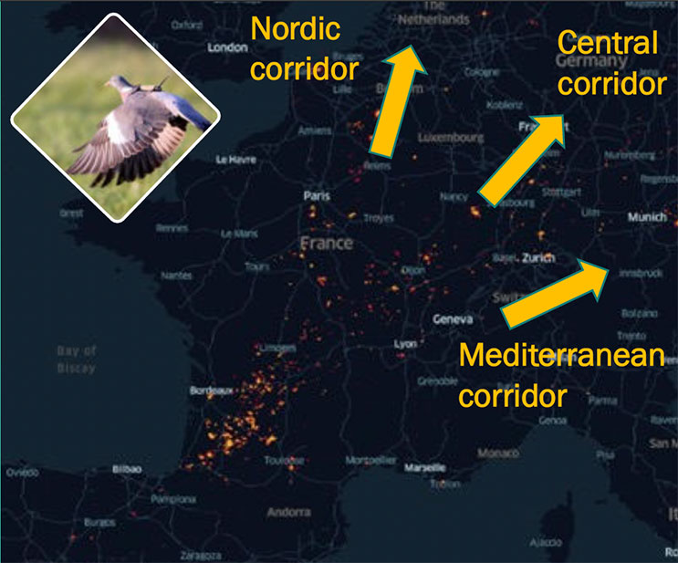Migration corridors