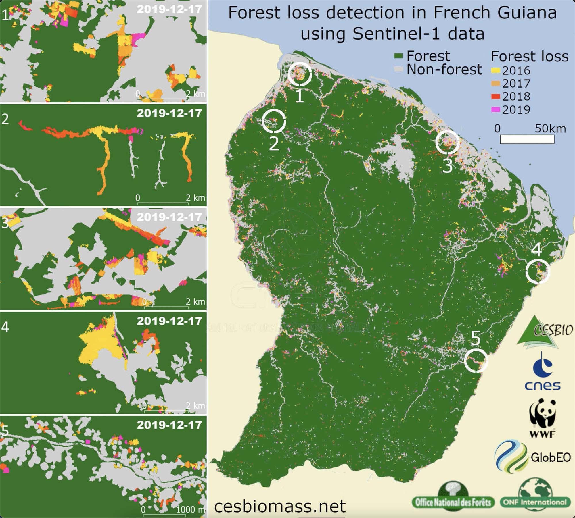 Perte forêt en Guyane