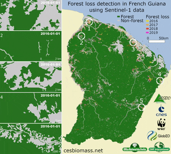 Deforestation map