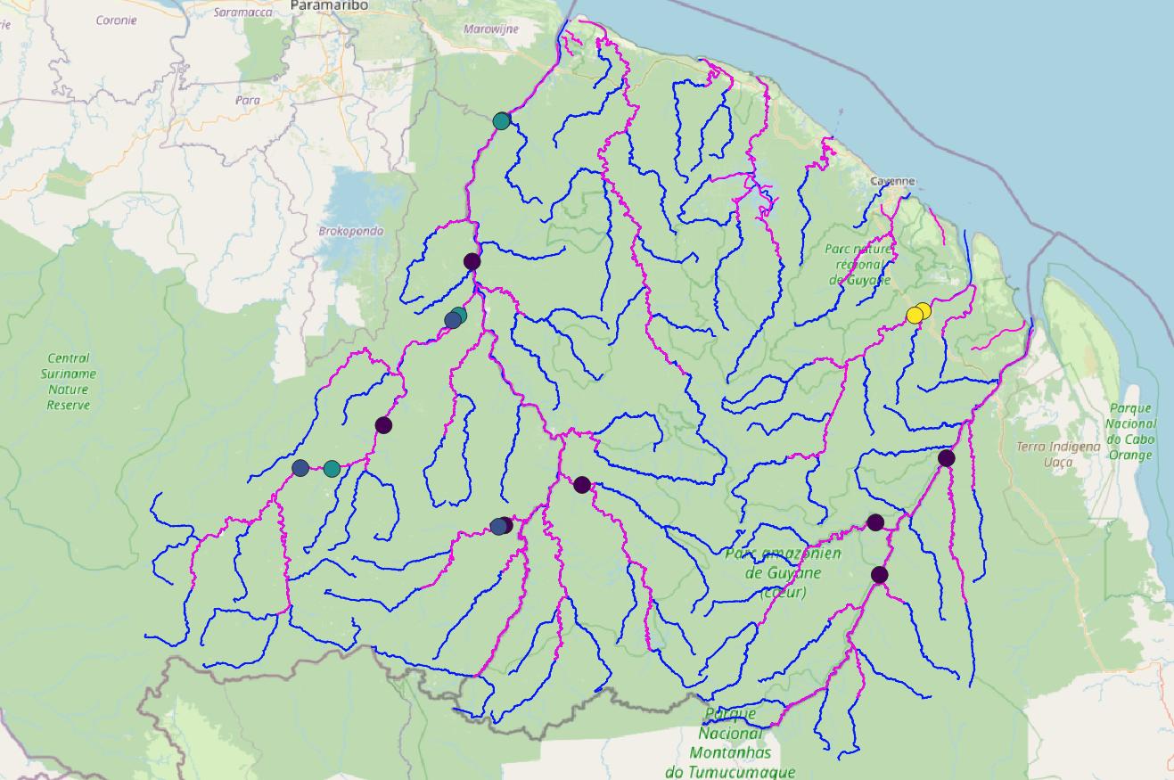 La Guyane, territoire du satellitaire à plus d'un titre