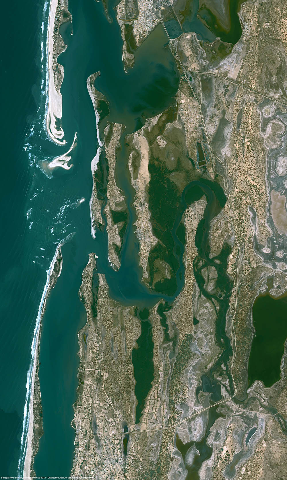 Senegal estuary Pléiades