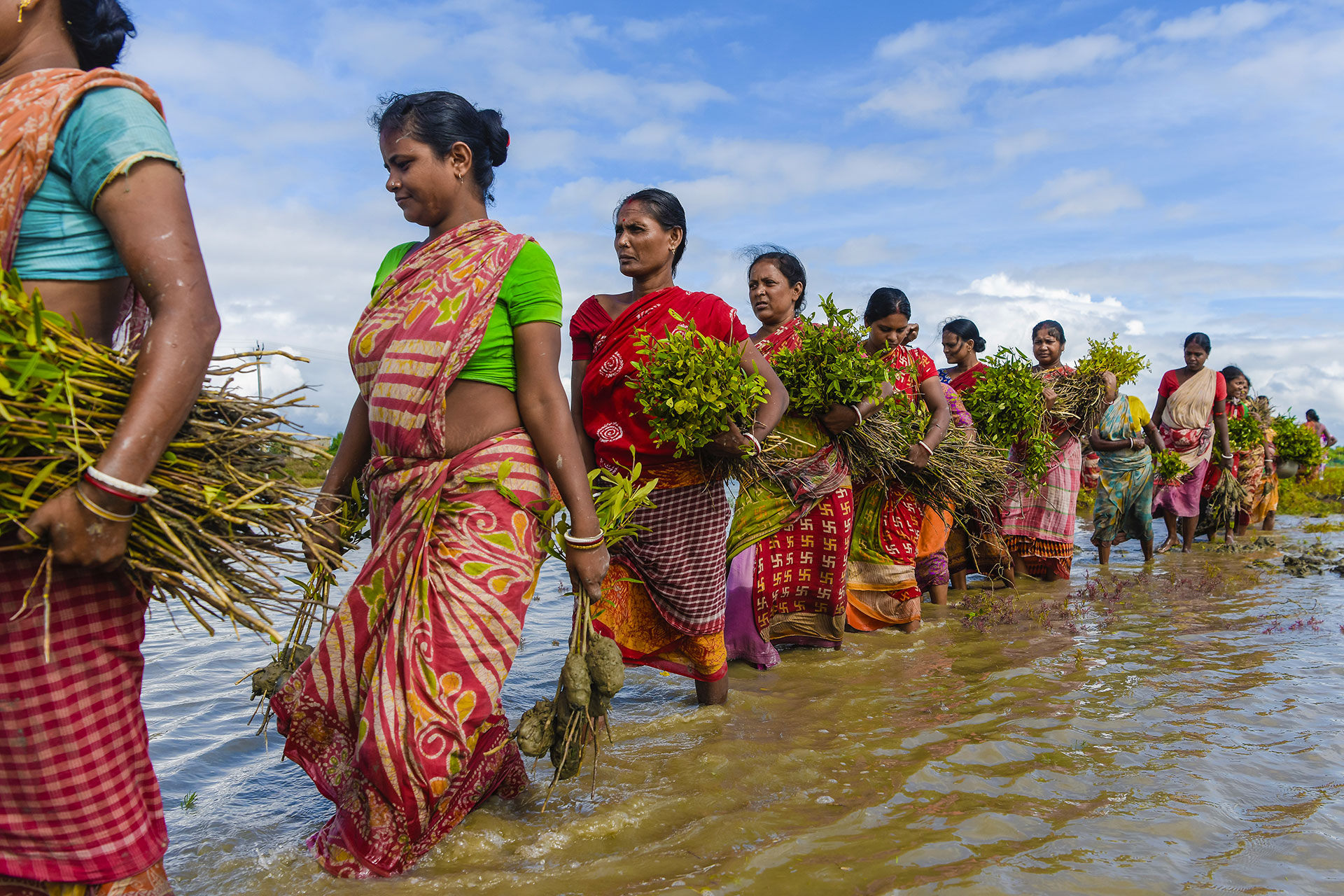 Tout comme ces femmes indiennes avancent d’un pas décidé pour replanter leur mangrove, le SCO entame 2023 bien résolu à livrer de nouveaux outils opérationnels, dont un suivi mondial des mangroves. 
