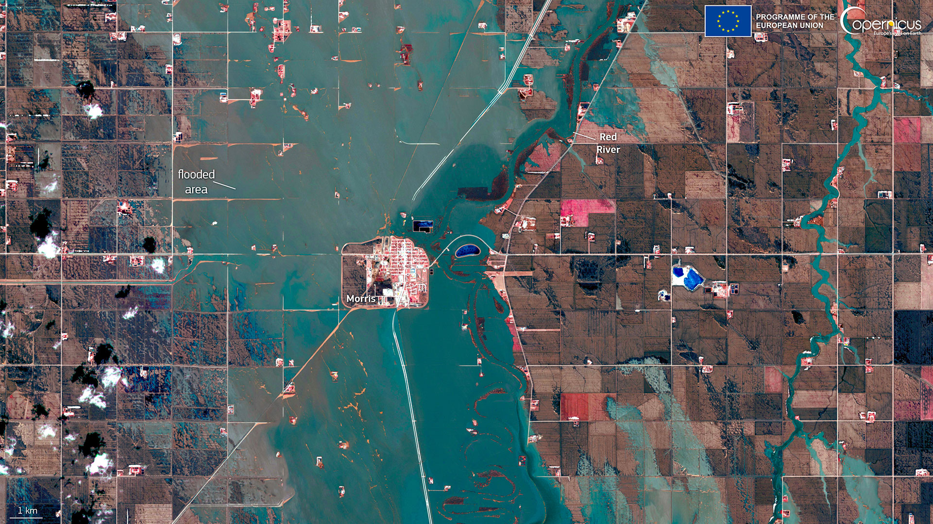 Au Manitoba (Canada) en proie à de fortes inondations depuis avril 2022, la ville de Morris, montrée sur cette image satellite Sentinel-2 acquise le 5 mai 2022, a été isolée par les eaux de crue.