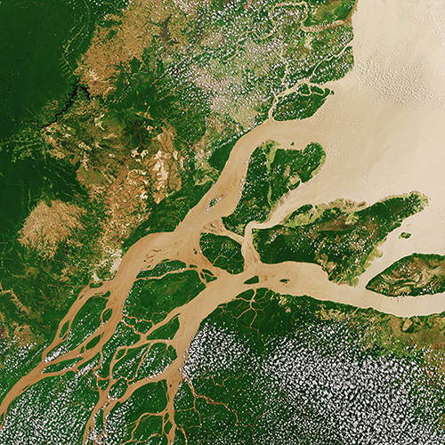 Amazon Delta