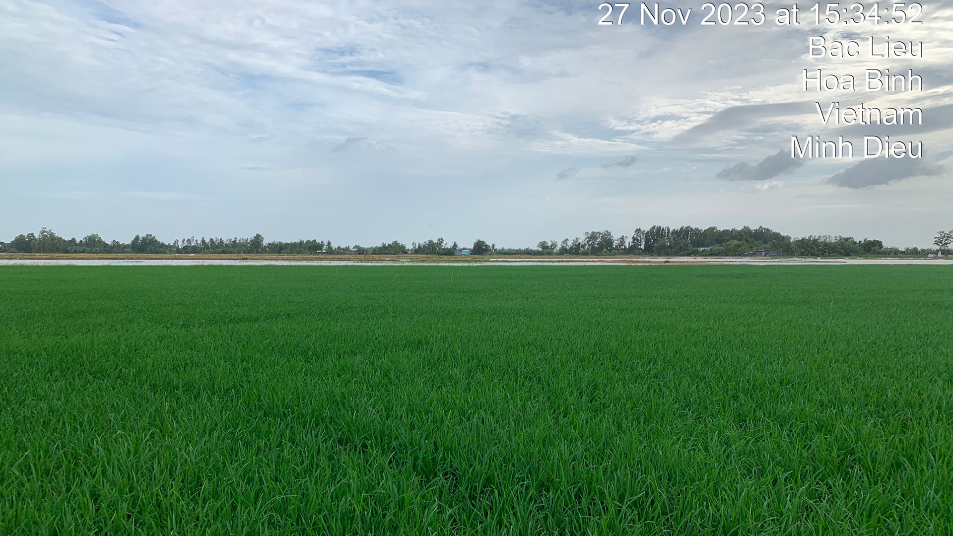 Test rice field for automatic and continuous water level measurement.