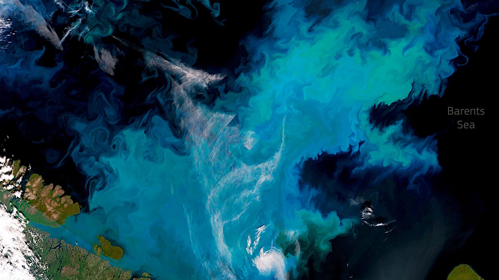 Thanks to satellites, we can keep our finger on the planet's pulse, for example by seeing (with Sentinel-3) this extraordinary phytoplankton bloom - 200,000 km²! - to the north of the Scandinavian peninsula.