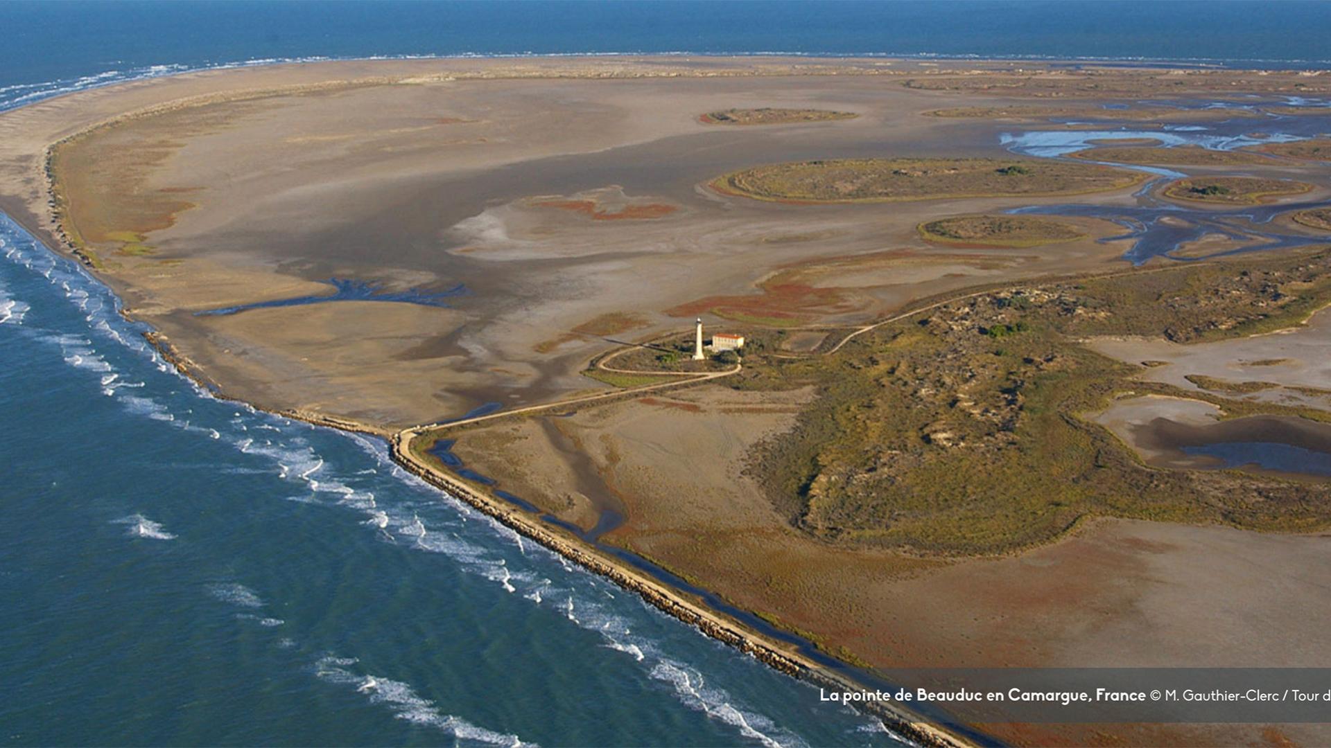 Piloted from the Camargue, the AIonWetlands project addresses all Mediterranean wetlands.