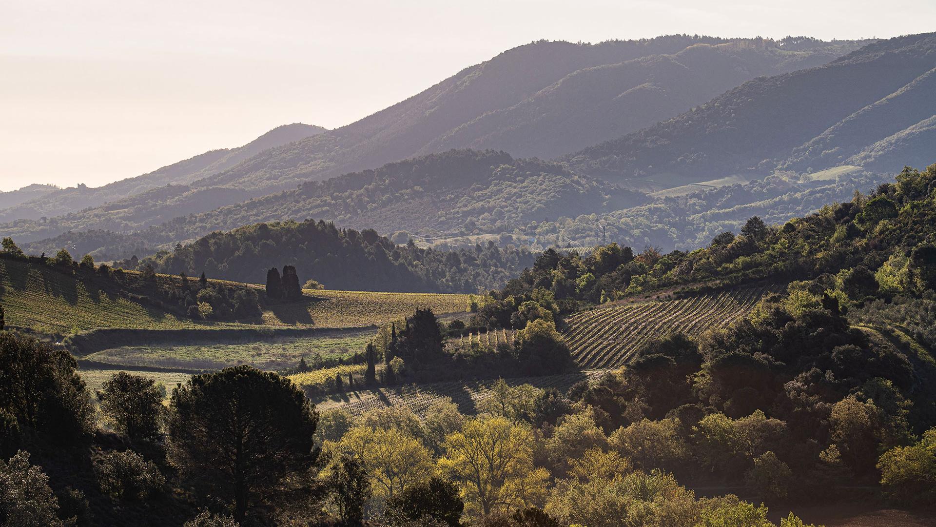 The commune of Preixan in the Aude (France), a wine-growing region regularly affected by intense runoff and droughts. 