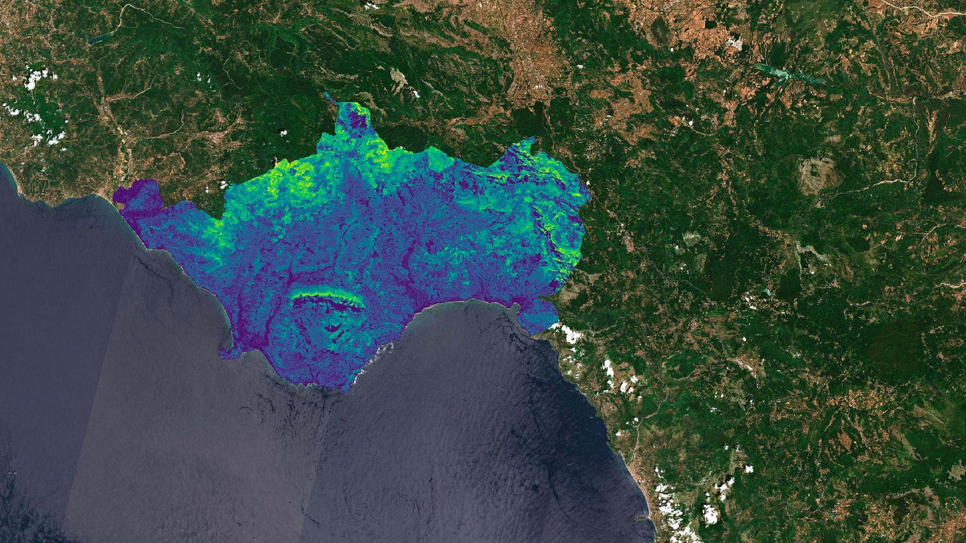 Carbon index in the forest area of the Mountain Community of Bussento, Lambro, and Mingardo (SA) for the year 2025. 