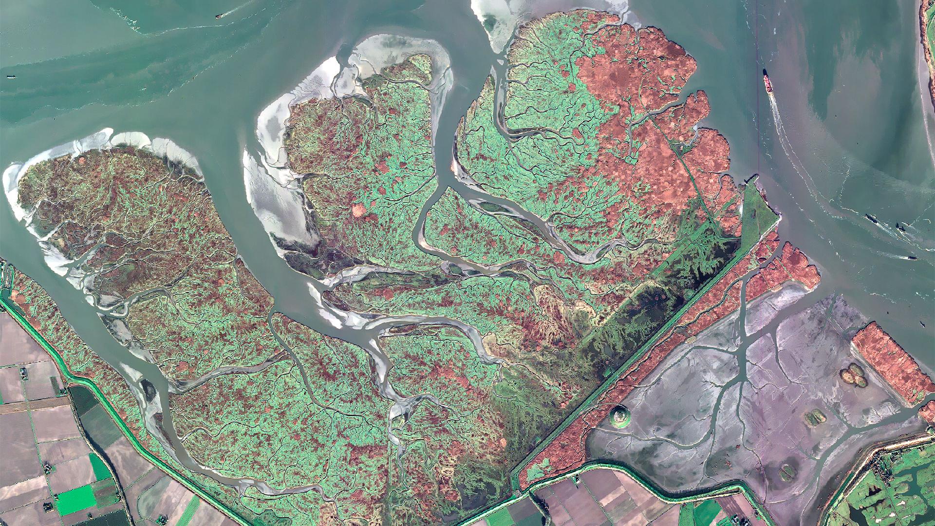 Pléiades satellite acquisition in autumn 2024 at the EO4Wetlands study sites.
