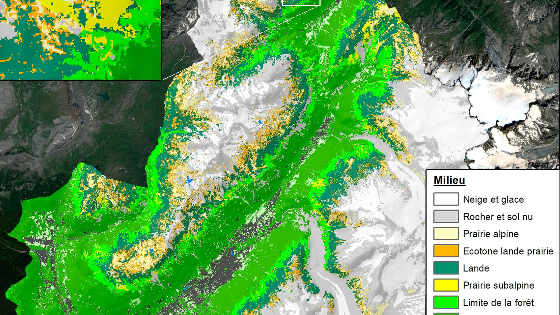ORION has developed a detailed map of natural habitats and fauna and flora indicators, including grazing area, to help Mont Blanc municipalities optimise the management of their territory as it evolves under climate change. 