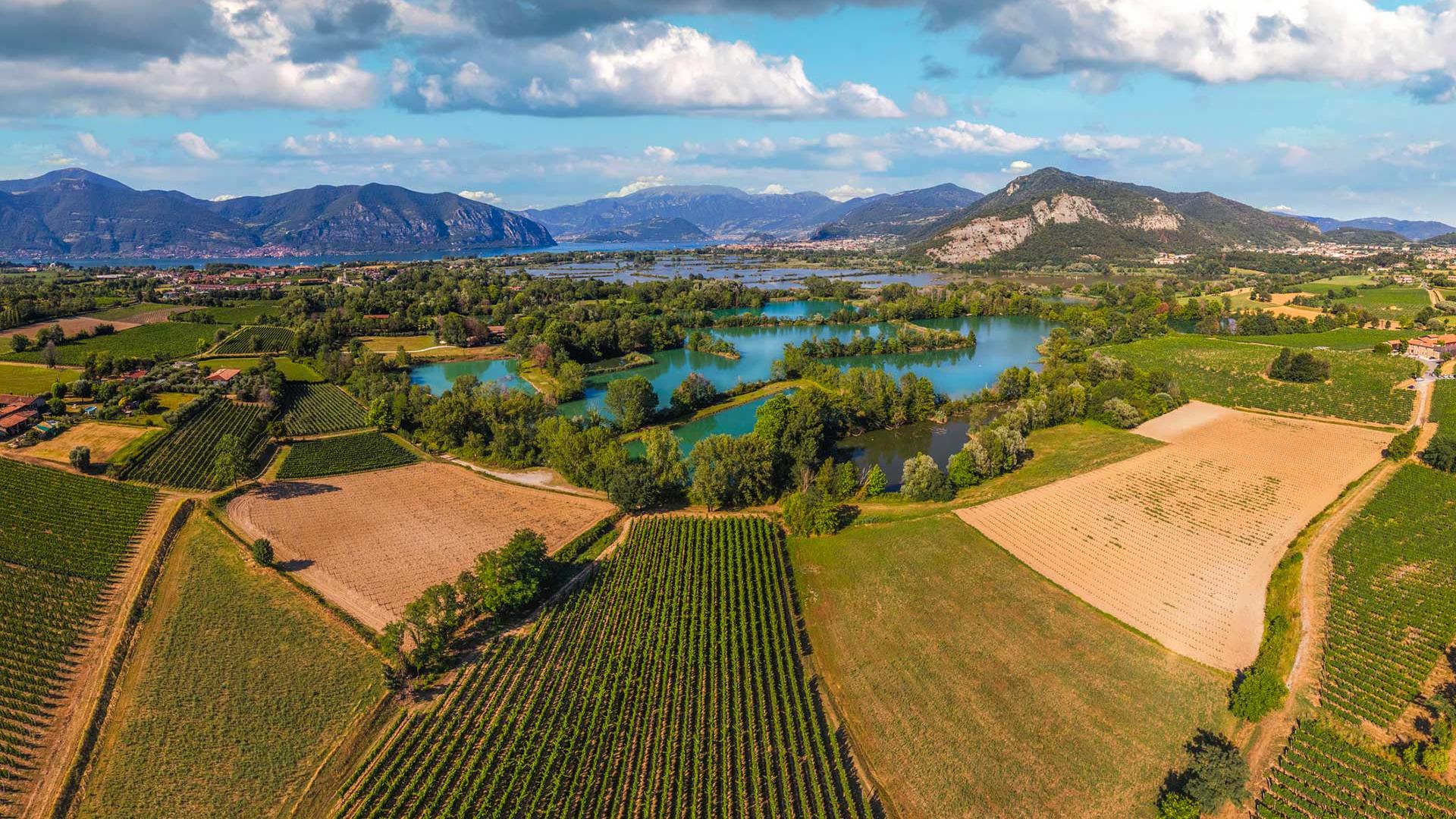 Diversification of crops, preservation of hedges, soil and water resources, introduction of trees to promote biodiversity... agroecology mobilises several levers of action. 