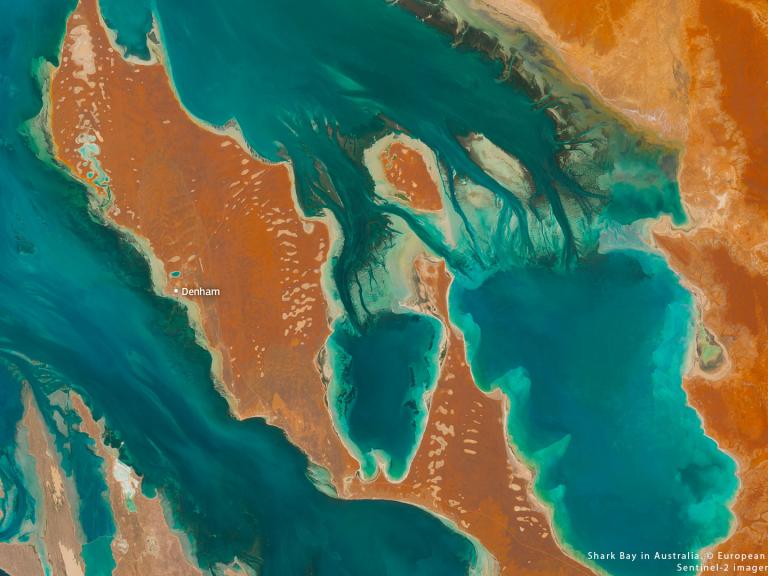 Australia Shark Bay