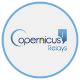 Logo Copernicus Relays