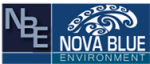 Logo NBE