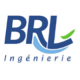 Logo BRLi