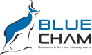 Logo Bluecham