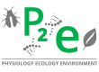P2E logo