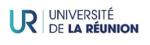 Logo Université de La Réunion