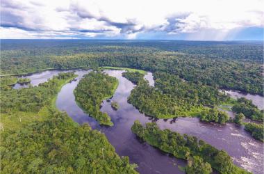 Gabonese mangrove