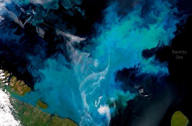 Thanks to satellites, we can keep our finger on the planet's pulse, for example by seeing (with Sentinel-3) this extraordinary phytoplankton bloom - 200,000 km²! - to the north of the Scandinavian peninsula.