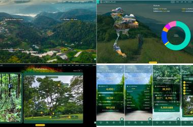 Carbon Atlas web and mobile dashboards showing national green area, carbon stock statistics, and plot-level carbon information.