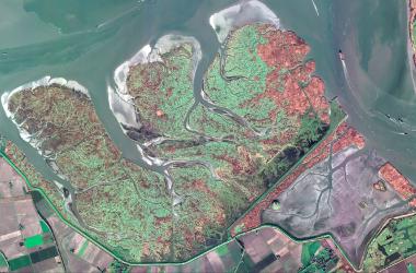 Pléiades satellite acquisition in autumn 2024 at the EO4Wetlands study sites.