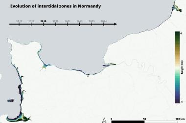 Annual topographic map of the Normandy intertidal zone, derived from Sentinel-2 satellite imagery using the water occurrence method. 