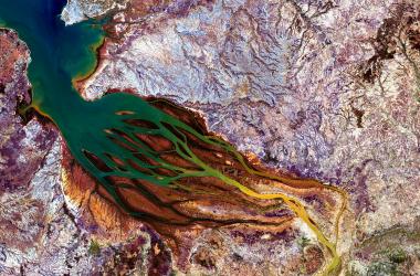 The amazing 'hair' of the mangrove, Bombetoka Bay in Madagascar, monitored by the SCO Mangroves project. 