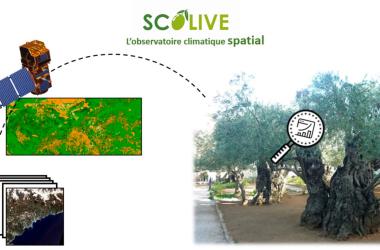 SCOLive combines satellite and citizen observations, complementary techniques that can be reproduced anywhere.