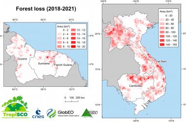 Deforestation in Asia and the Guiana Shield from 2018 to 2021. Each hexagon covers an area of 460 km2.