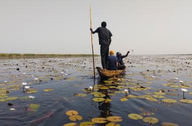 En pirogue sur le lac Waima, très végétalisé, pour prélever des échantillons d’eau. 