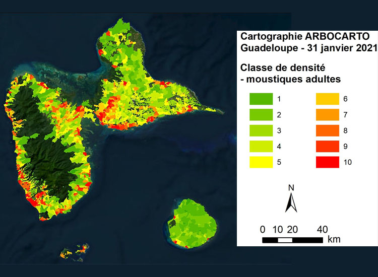 Carto Arbocarto-V2