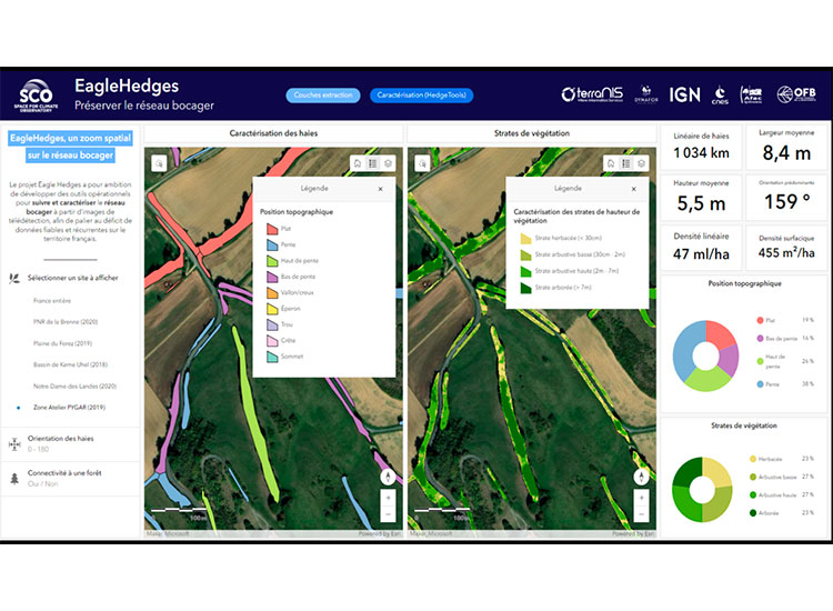 Eagle Hedges Interface